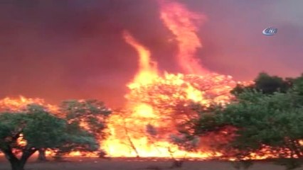 Çanakkale Yangınında Dehşet Veren Görüntüler