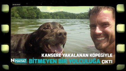 N Hayat... Duygusal bir insan-köpek dostluğu hikayesi