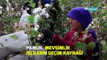 N Hayat... “Beyaz Altın: Pamuk” çıkartan mevsimlik işçilerin bir günü