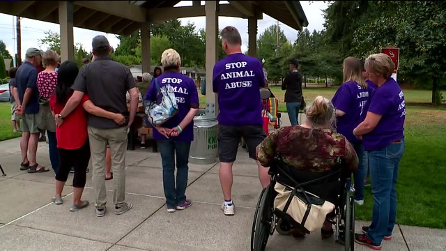 Neighbors to Patrol Community Where 7 Cats Have Been Mysteriously Mutilated