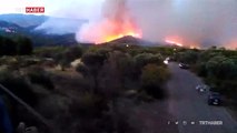 Yunanistan Eğriboz Yarımadası'nda orman yangını