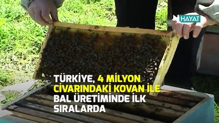 N Hayat... 6 yılda dünya ikinciliği geldi!