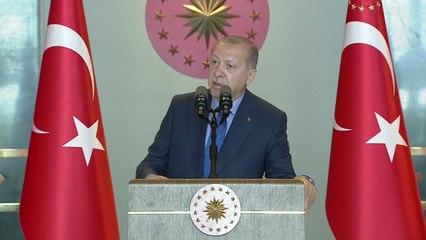 에르도안 "전략적 동반자 등에 칼 꽂아" / YTN