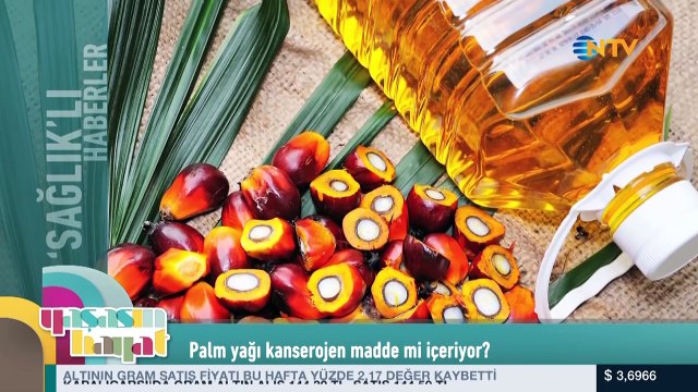 Kansere neden olan faktörler neler? Yaşasın Hayat'ta...