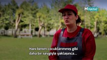 N Hayat... Atlara anne şefkati