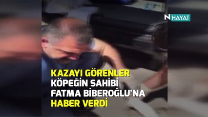 N Hayat... Yaralı köpeği acil doktorları kurtardı