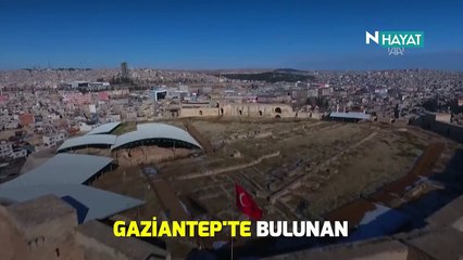 N Hayat... Binlerce yıllık tarihe ayna tutuyor: Zeugma