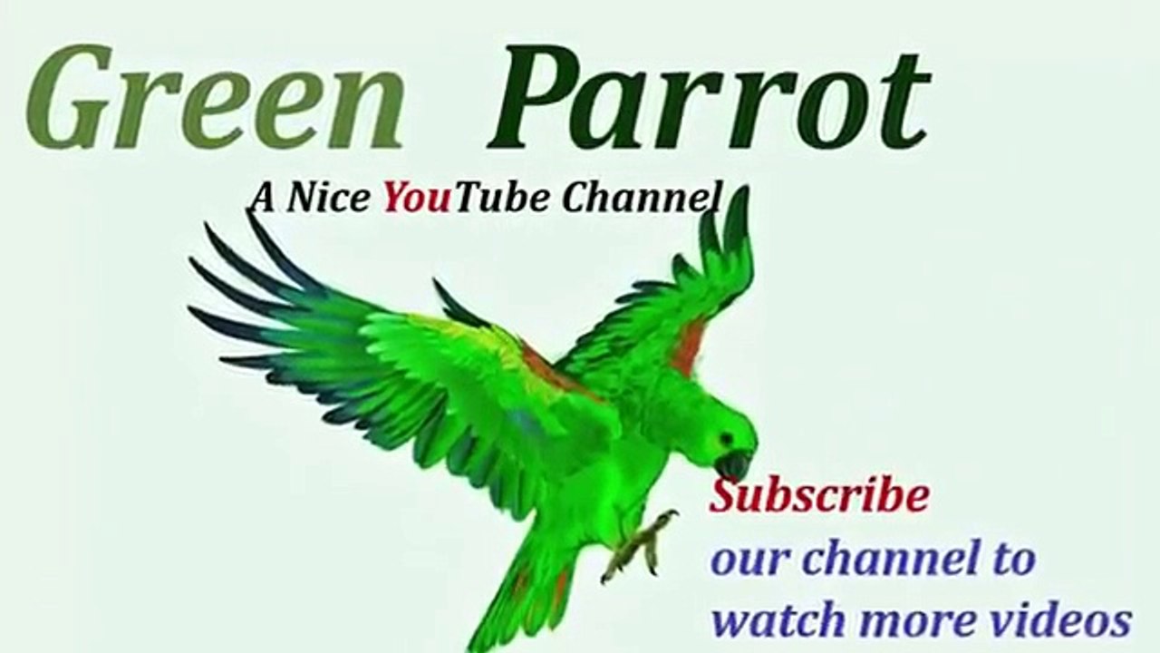 Feroz Khan Holding the Pakistani Flag