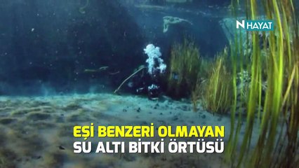 N Hayat... Eşi benzeri olmayan bir nokta