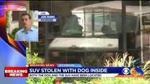 Couple`s Missing Car, Dog Recovered After Being Stolen from Virginia Parking Lot