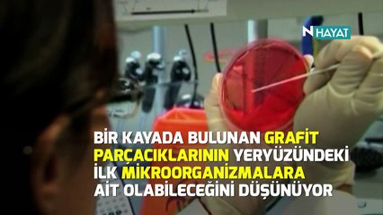 N Hayat... Dünyada yaşam ne zaman başladı?