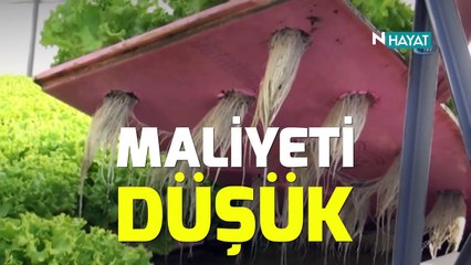 N Hayat... Bu serada toprak yok (Gölette üretim)