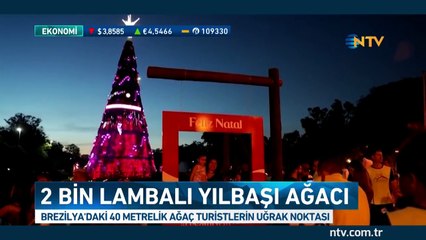 2 bin lambalı yılbaşı ağacı