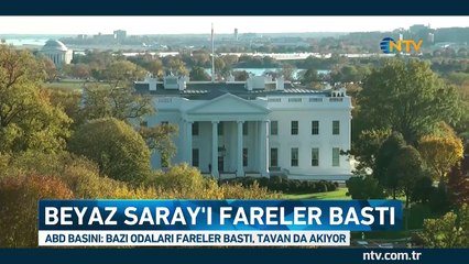 Beyaz Saray'ı fareler bastı