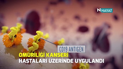 N Hayat... Kanser tedavisinde önemli bir adım atıldı