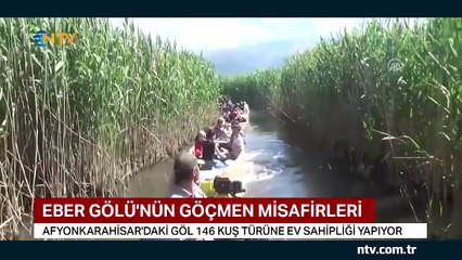 Eber Gölü'nün göçmen misafirleri