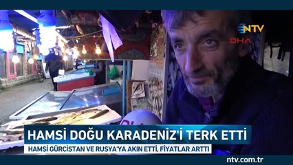 Hamsi Rusya'ya akın etti, fiyatlar arttı