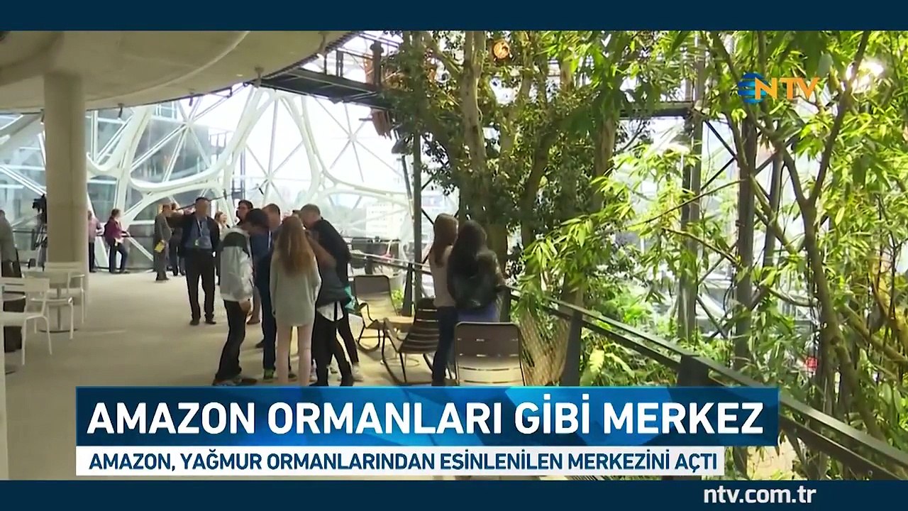 Amazon ormanları gibi ofis