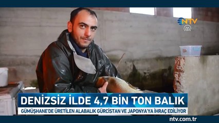 Denizsiz ilde 4,7 bin ton balık üretildi