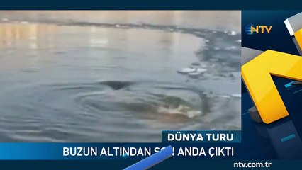 Amatör yüzücü buzda sıkışıp kaldı