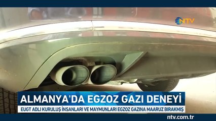 Almanya bu deneyi konuşuyor!