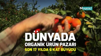 N Hayat... Organik tarımın önemi