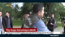 Muş'ta bitkin halde bulundu, korumaya alındı