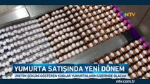 Yumurta satışında yeni dönem (Üretim şeklini gösteren 4 kod yumurta kabuğunda olacak)