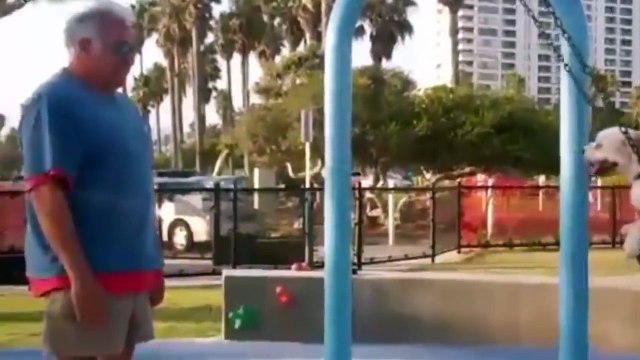 صدق أو لا تصدق: حيونات تنفذ البشر في أخر لحظة