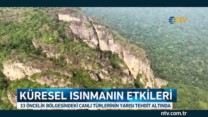 33 kritik bölgedeki canlı türleri tehdit altında