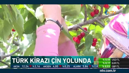 Türk kirazı Çin yolunda