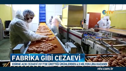 Fabrika gibi cezaevi (2017'de 6.5 milyon lira gelir elde ettiler)