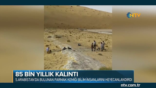 85 bin yıllık insan kalıntısı bulundu... İşte 3,5 cm boyundaki parmak kemiği