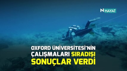 N Hayat... 350 metre derinde 100 yeni canlı