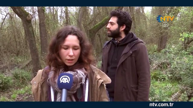 Bülbül sesinin notaları belirlenecek (Kızılırmak Deltası'nda çalışmalar başladı)