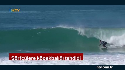 Sörfçülere köpek balığı tehdidi... (Köpek balığı kıyıya yaklaşınca organizasyon ertelendi)