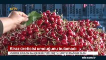 Kiraz fiyatı dibe vurdu