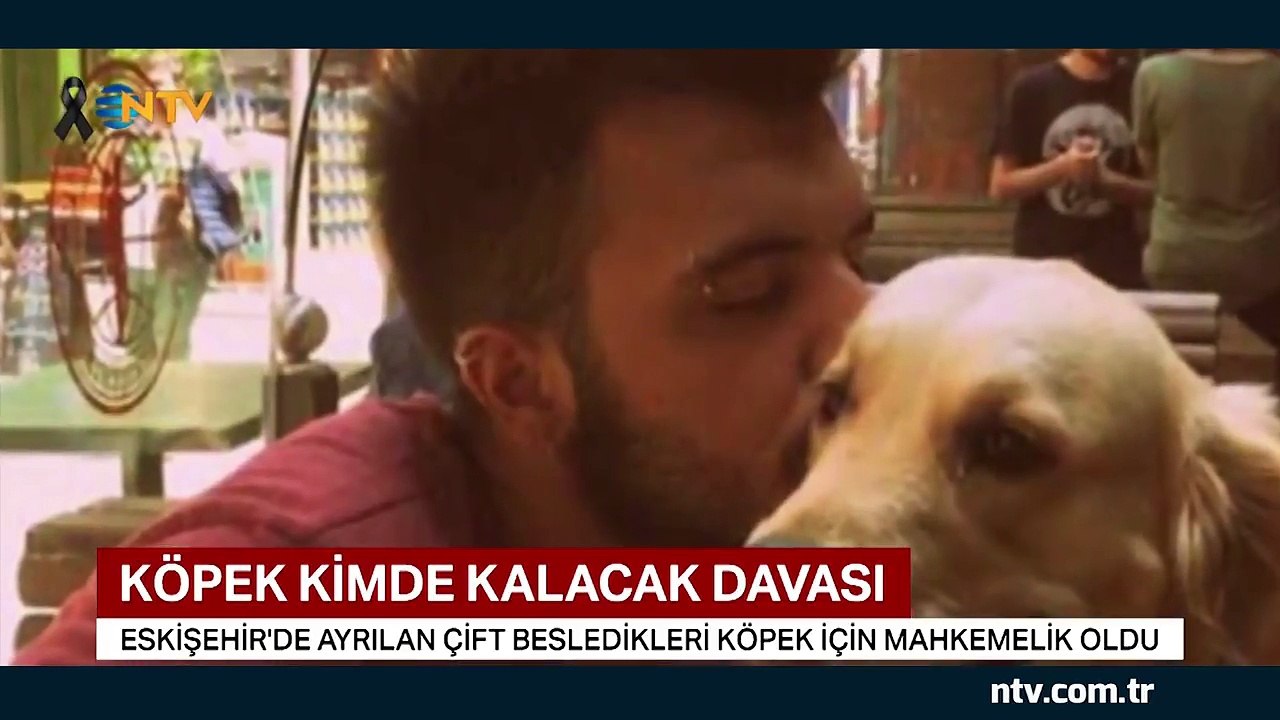 "Köpek kimde kalacak?" davası