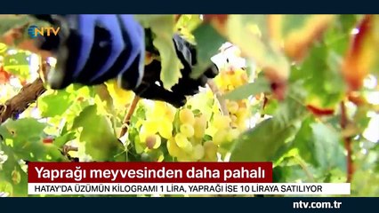 Yaprağı meyvesinden daha pahalı