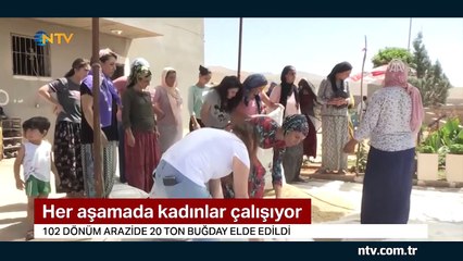 En eski buğdayı üretiyor (En iyi 10 şef arasına girdi)