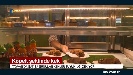 Buldog şeklindeki keklere yoğun ilgi