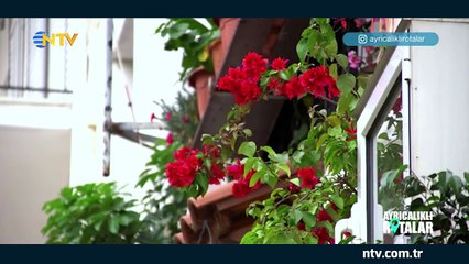 Ayrıcalıklı Rotalar/Atina 23 Haziran 2018