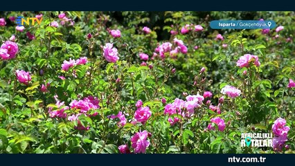 Ayrıcalıklı Rotalar/Isparta-Burdur 30 Haziran 2018