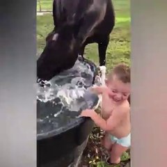 If your horse isn t this funny, it s just not trying hard enough.