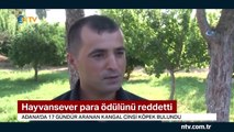 Kayıp köpeği bulan hayvansever para ödülünü reddetti (Bakın hangi ödüle talip oldu?)