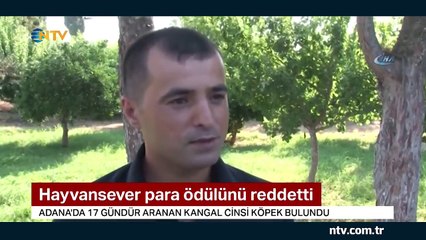 Kayıp köpeği bulan hayvansever para ödülünü reddetti (Bakın hangi ödüle talip oldu?)