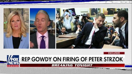 Fox Today - Gowdy- Peter Strzok didn't need my help to get fired