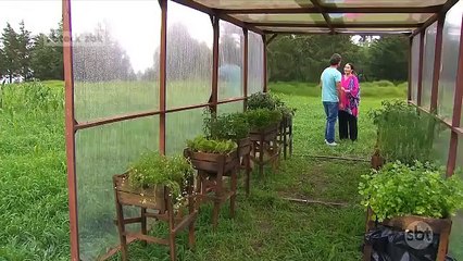 Um Caminho Para o Destino - Capítulo 141