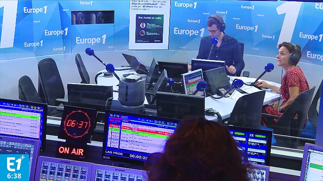 Frelons asiatiques : des désinsectisation "en ce moment, j'en fais entre 20 et 25 par jour"