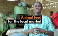 Burkina Faso: Animal feed for the local market